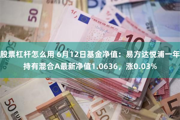 股票杠杆怎么用 6月12日基金净值：易方达悦浦一年持有混合A最新净值1.0636，涨0.03%