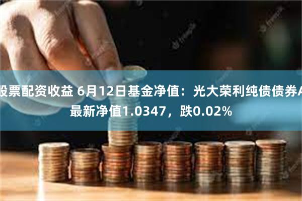 股票配资收益 6月12日基金净值：光大荣利纯债债券A最新净值1.0347，跌0.02%