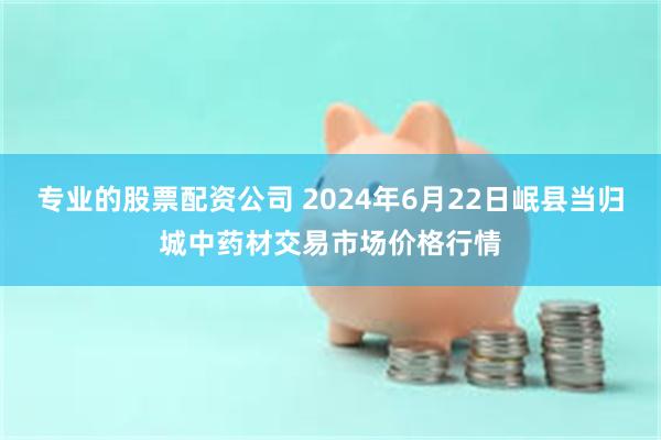 专业的股票配资公司 2024年6月22日岷县当归城中药材交易市场价格行情