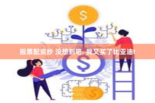 股票配资炒 没想到吧, 我又买了比亚迪!