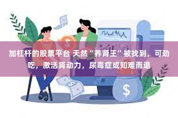 加杠杆的股票平台 天然“养肾王”被找到，可劲吃，激活肾动力，尿毒症或知难而退