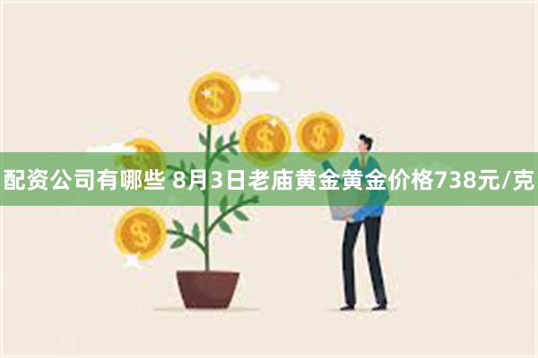 配资公司有哪些 8月3日老庙黄金黄金价格738元/克