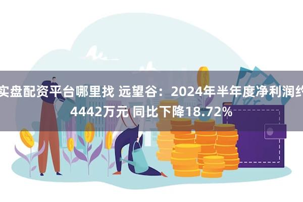 实盘配资平台哪里找 远望谷：2024年半年度净利润约4442万元 同比下降18.72%