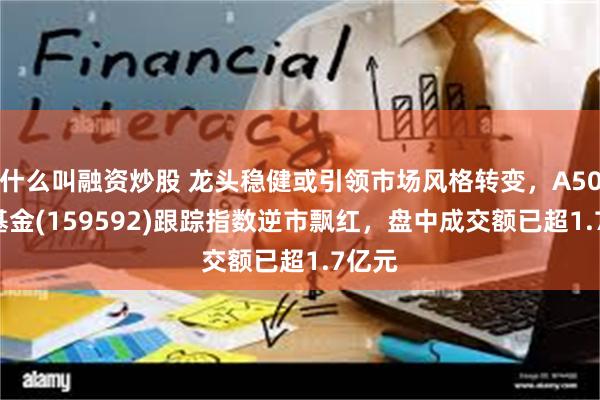 什么叫融资炒股 龙头稳健或引领市场风格转变，A50ETF基金(159592)跟踪指数逆市飘红，盘中成交额已超1.7亿元