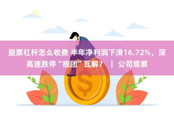 股票杠杆怎么收费 半年净利润下滑16.72%，深高速跌停“抱团”瓦解？ ｜ 公司观察