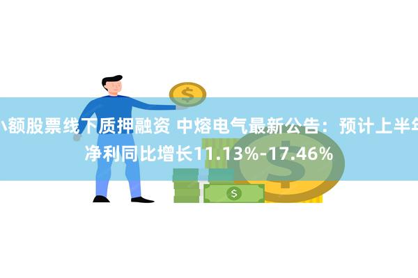 小额股票线下质押融资 中熔电气最新公告：预计上半年净利同比增长11.13%-17.46%