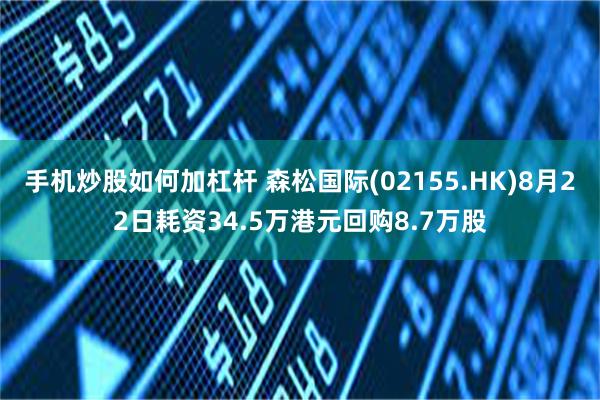 手机炒股如何加杠杆 森松国际(02155.HK)8月22日耗资34.5万港元回购8.7万股