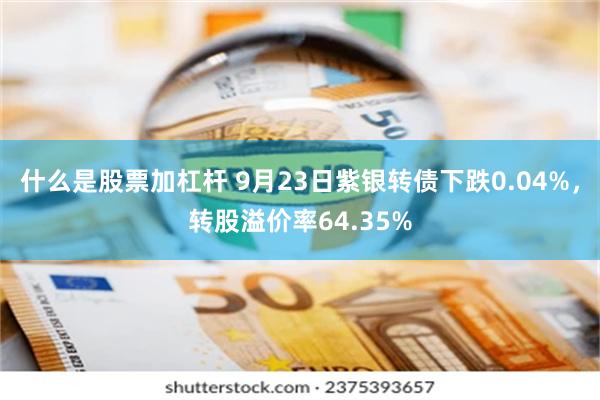 什么是股票加杠杆 9月23日紫银转债下跌0.04%，转股溢价率64.35%