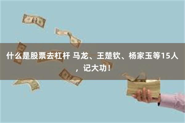 什么是股票去杠杆 马龙、王楚钦、杨家玉等15人，记大功！