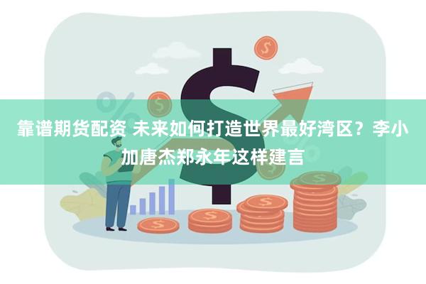 靠谱期货配资 未来如何打造世界最好湾区？李小加唐杰郑永年这样建言