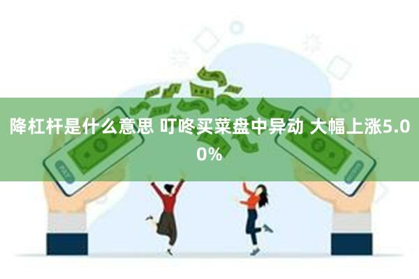 降杠杆是什么意思 叮咚买菜盘中异动 大幅上涨5.00%