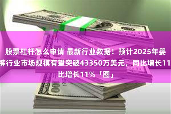 股票杠杆怎么申请 最新行业数据！预计2025年婴儿拉拉裤行业市场规模有望突破43350万美元，同比增长11%「图」