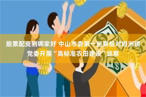 股票配资到哪家好 中山市委第一巡察组对坦洲镇党委开展“高标准农田建设”巡察