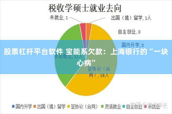 股票杠杆平台软件 宝能系欠款：上海银行的“一块心病”