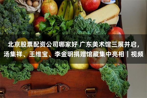 北京股票配资公司哪家好 广东美术馆三展并启，汤集祥、王维宝、李金明捐赠馆藏集中亮相｜视频