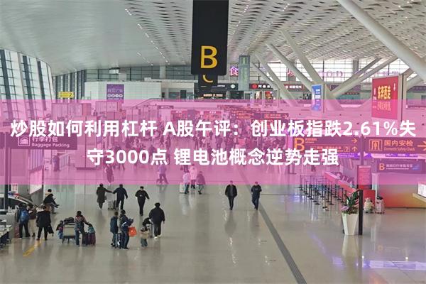 炒股如何利用杠杆 A股午评：创业板指跌2.61%失守3000点 锂电池概念逆势走强