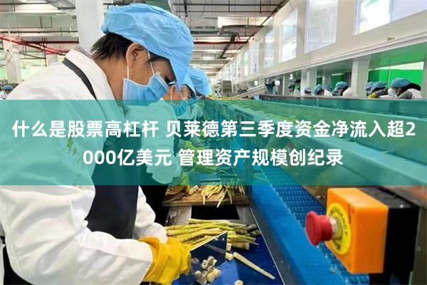 什么是股票高杠杆 贝莱德第三季度资金净流入超2000亿美元 管理资产规模创纪录